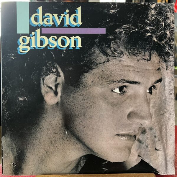 David Gibson